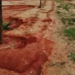 Aprende ACASAYC 33 Tierra de abono